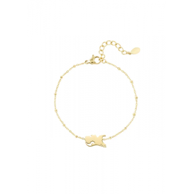 Armband - RVS - Holland
