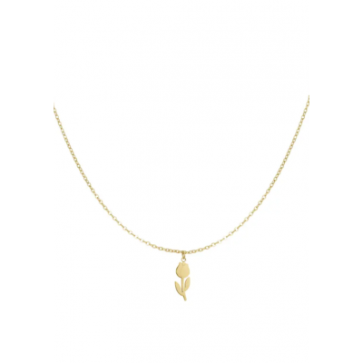 Ketting - RVS - Tulpen uit Amsterdam