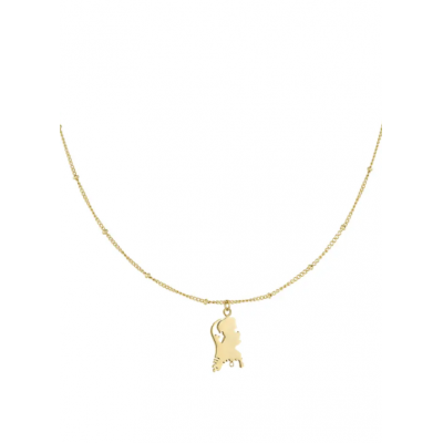 Ketting - RVS - Holland
