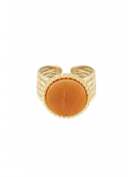 Ring - RVS - Gele Aventurijn